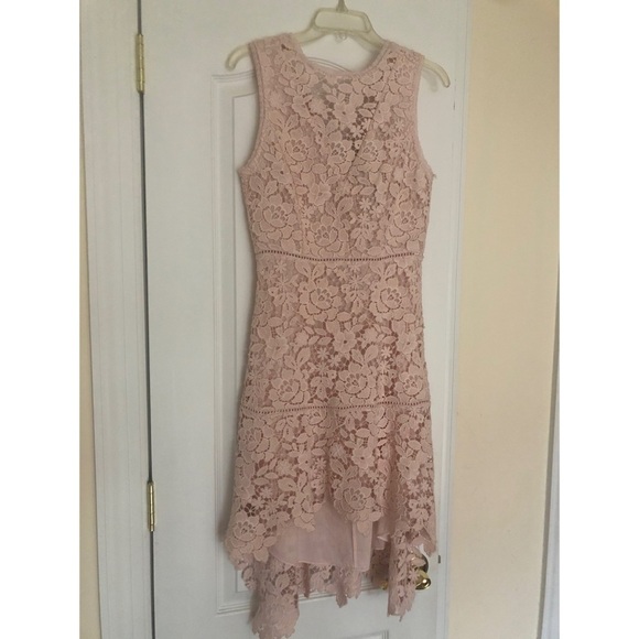 NWT Joie Lace Bridley High-Low Dress in Rosewater Size Small - Picture 7 of 8